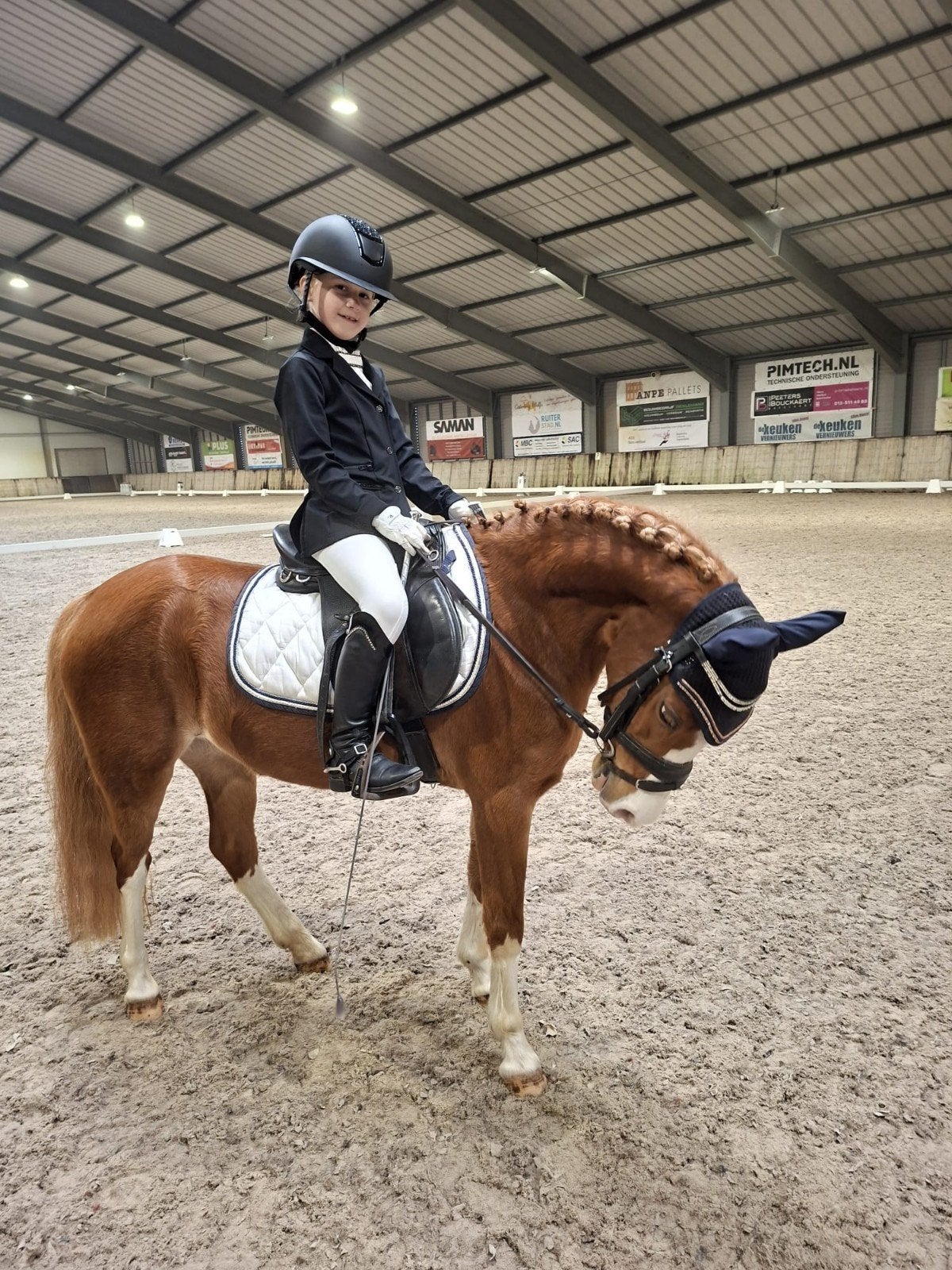 Mooie B pony, Dieren en Toebehoren, Pony's