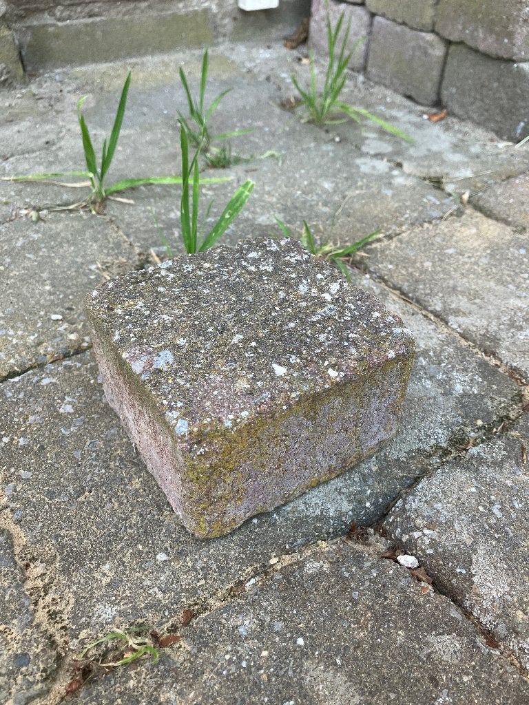 Gratis Tegels (6 cm hoog, 9.8 cm breed en 9.8 cm diep), Tuin en Terras, Tegels en Klinkers, Ophalen, Gebruikt, Minder dan 5 m²