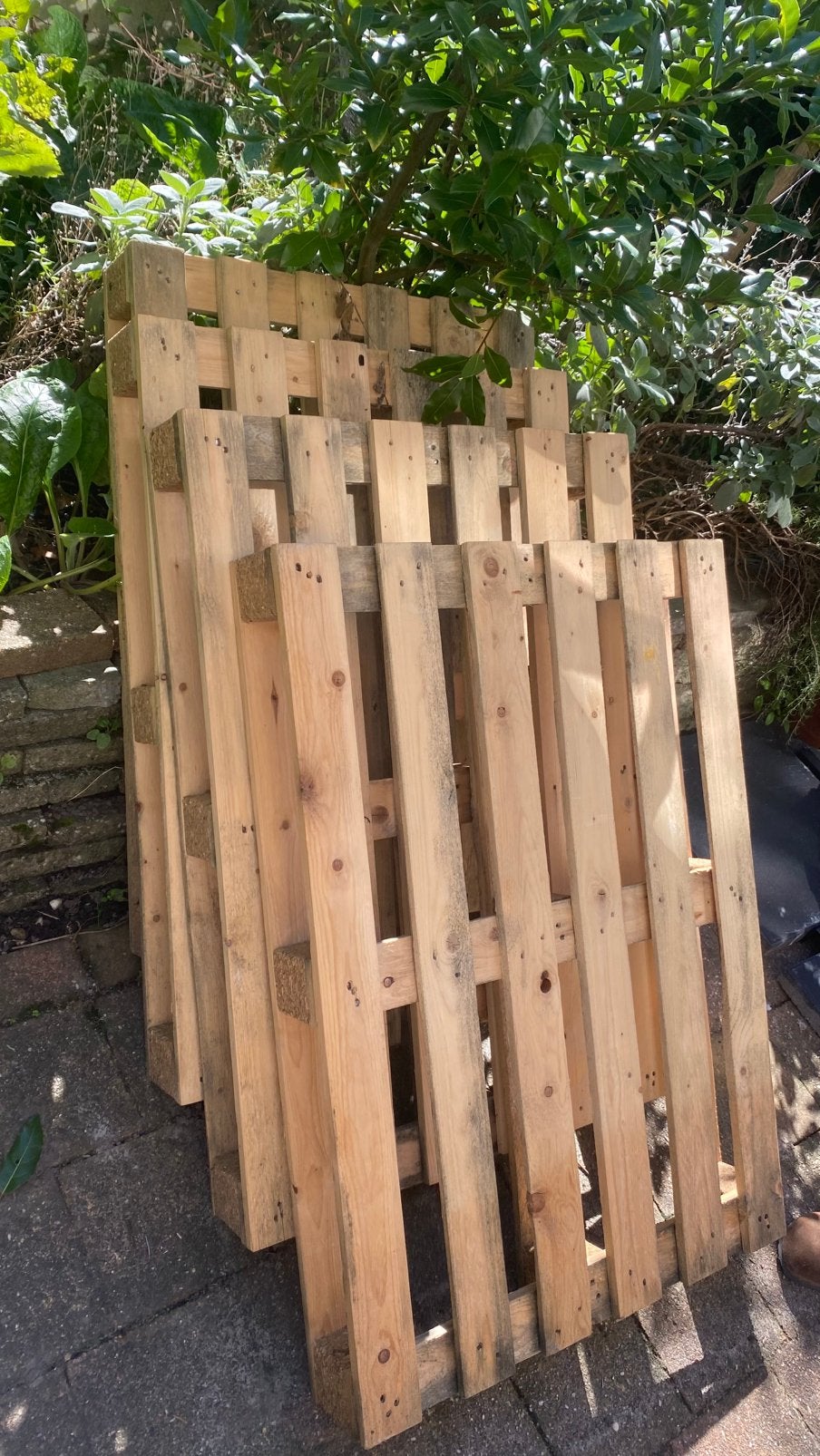 4 pallets, Tuin en Terras, 1 tot 2 meter, Minder dan 3 meter, Ophalen of Verzenden, Zo goed als nieuw