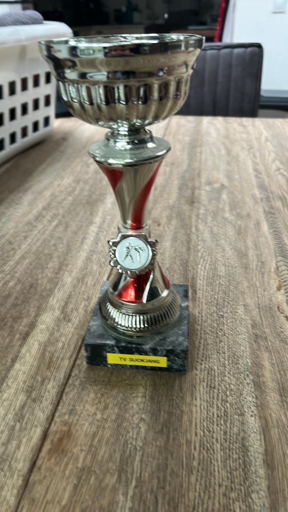 Wedstrijd beker van taekwondo, Ophalen of Verzenden, Zo goed als nieuw