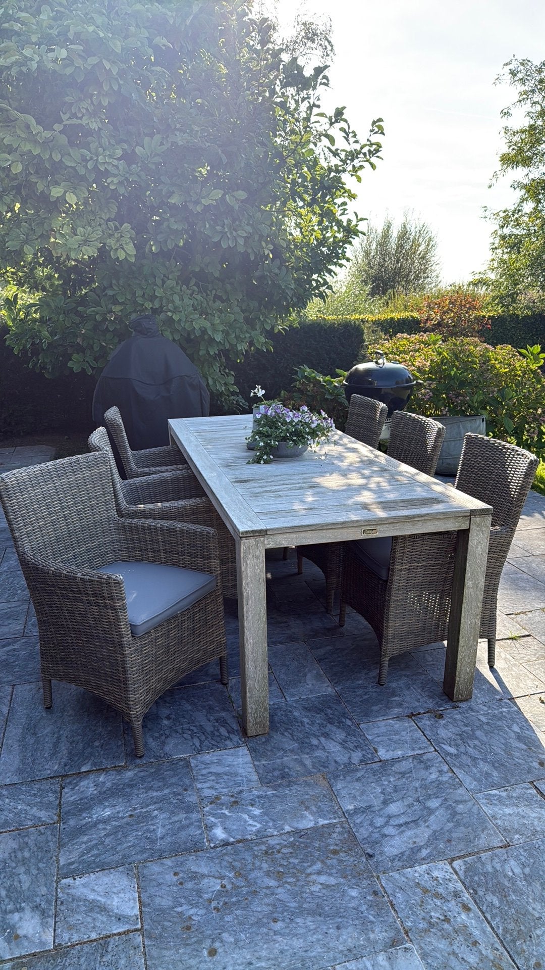 8 Tuinstoelen (kunststof riet) met gratis tuintafel, Tuin en Terras, Gebruikt, Ophalen of Verzenden, 8 zitplaatsen, Tuinset