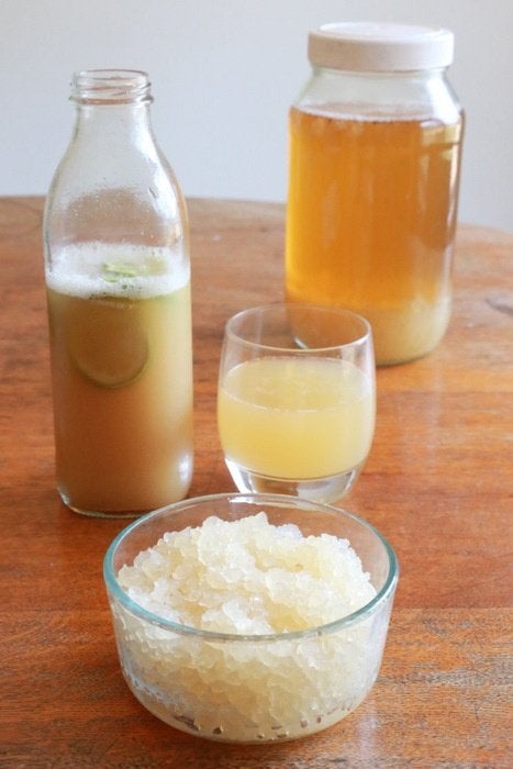 Waterkefir korrels, maak je eigen frisdrank!, Ophalen