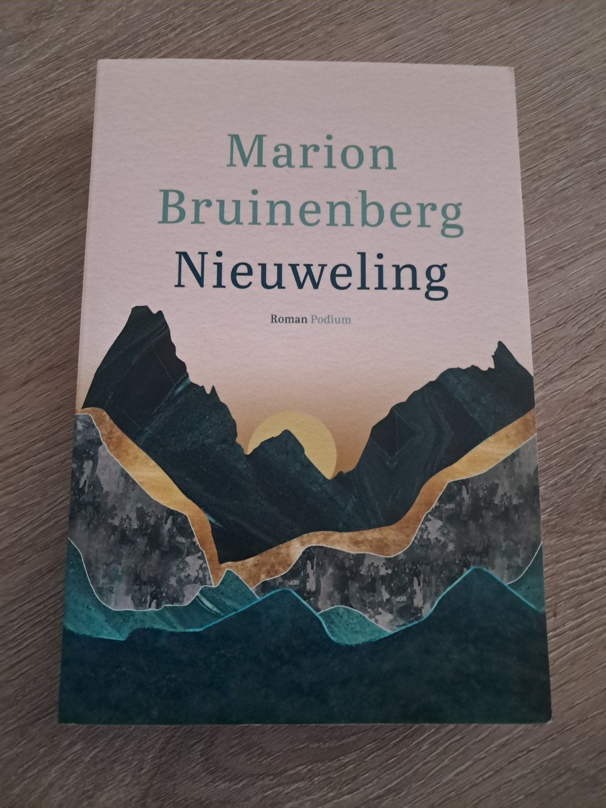 Marion Bruinenberg - Nieuweling, Marion Bruinenberg, Ophalen of Verzenden, Zo goed als nieuw, Nederland