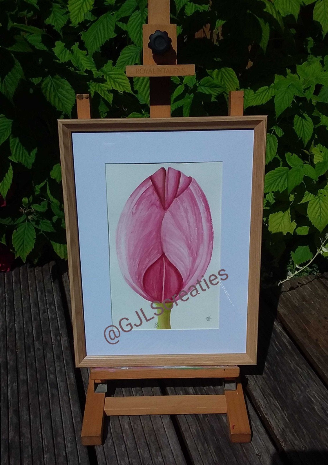 Origineel aquarel schilderij: Roze Tulp (24x32 cm), Ophalen