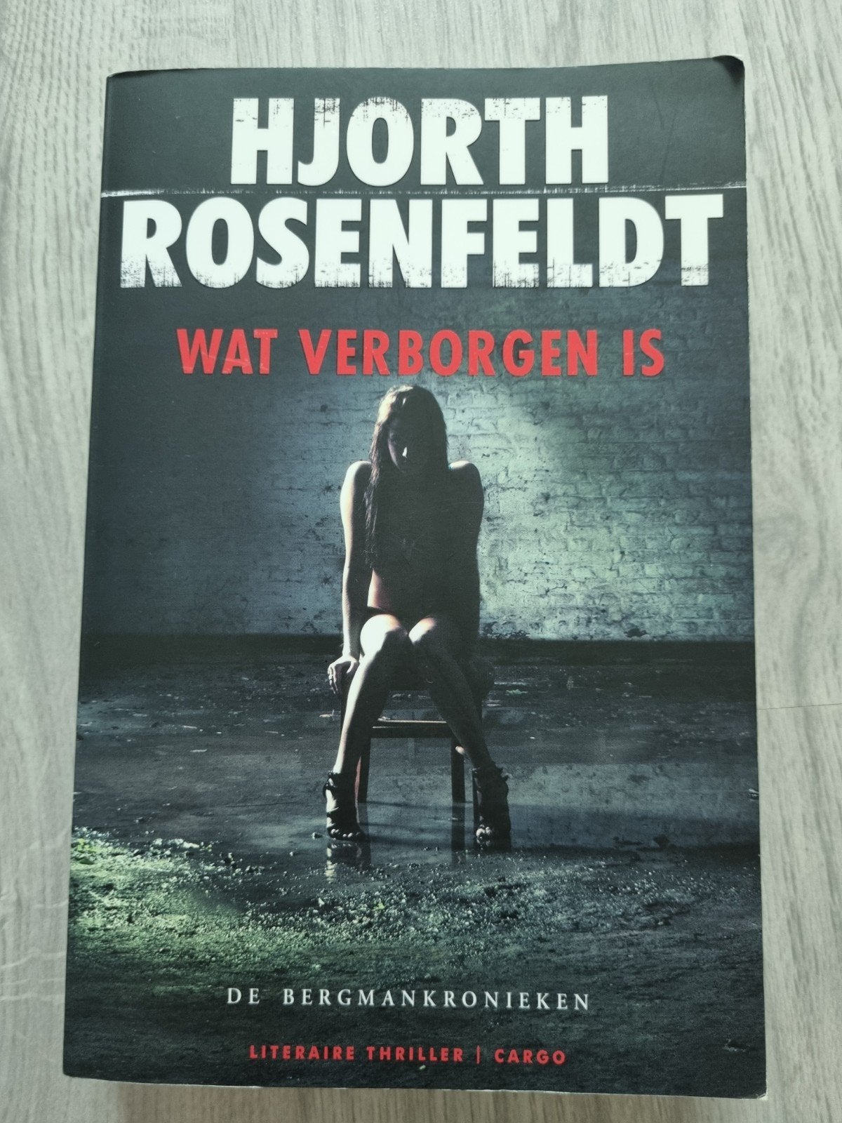 Hjorth Rosenfeldt - Wat Verborgen Is (De Bergman Kronieken), Ophalen of Verzenden, Zo goed als nieuw, Hjorth Rosenfeldt, Scandinavië