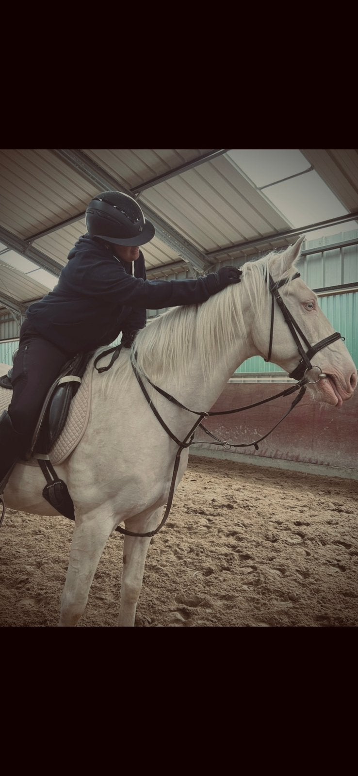Verzorg-/leasepaard gezocht!, Dieren en Toebehoren, Ophalen of Verzenden, Zo goed als nieuw