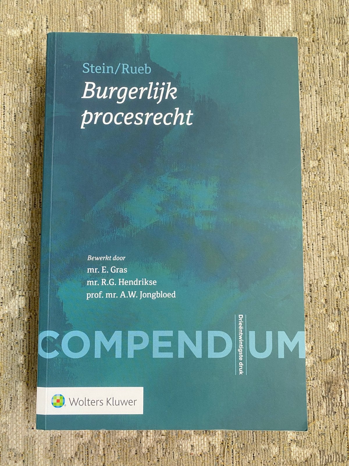 Compendium Burgerlijk procesrecht - Stein/Rueb, Ophalen of Verzenden, Gamma, Nieuw, WO