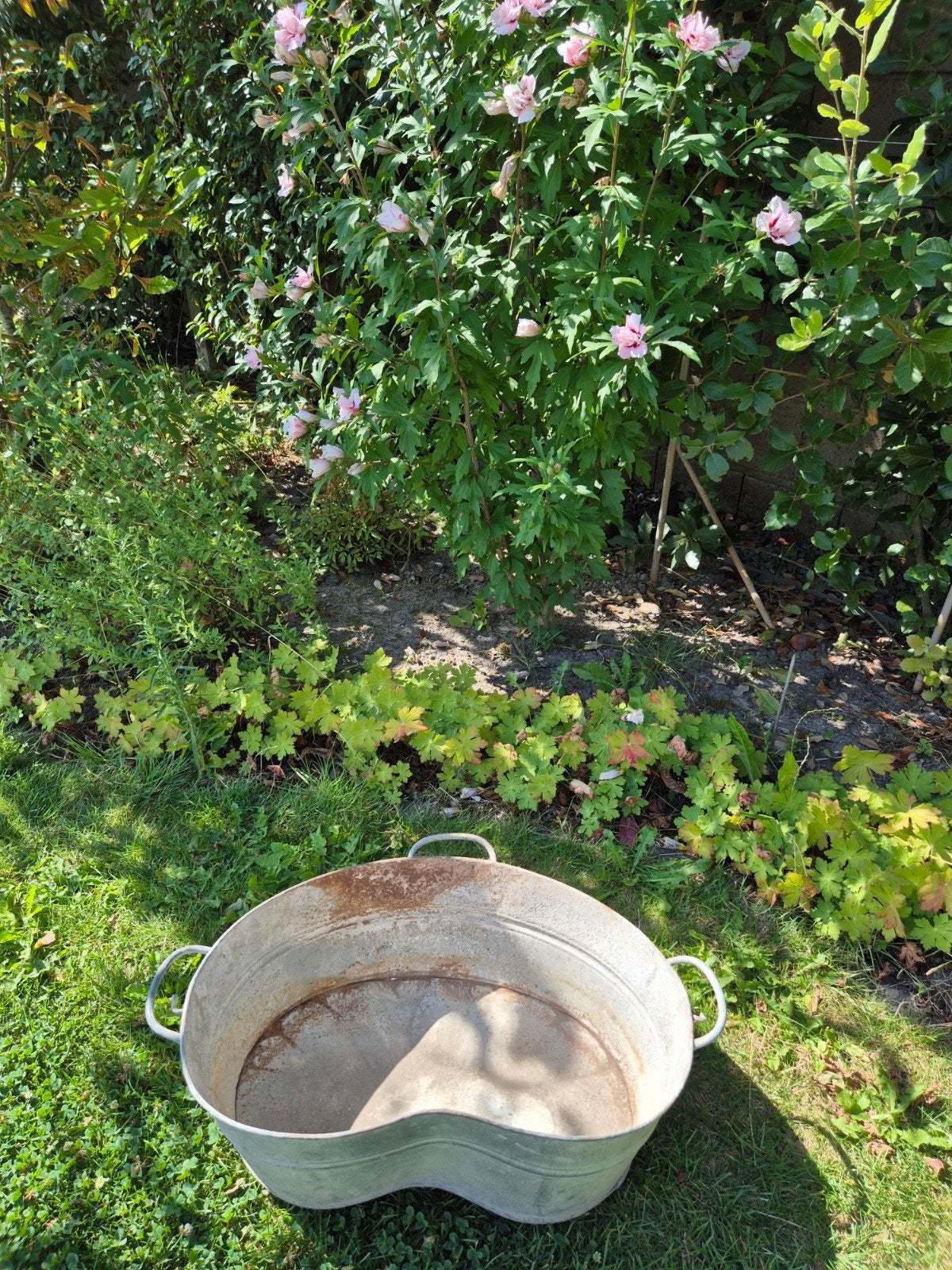 Zinken teil, antieke kunstmestbak, Tuin en Terras, Ophalen, Gebruikt, Metaal, 30 tot 60 cm