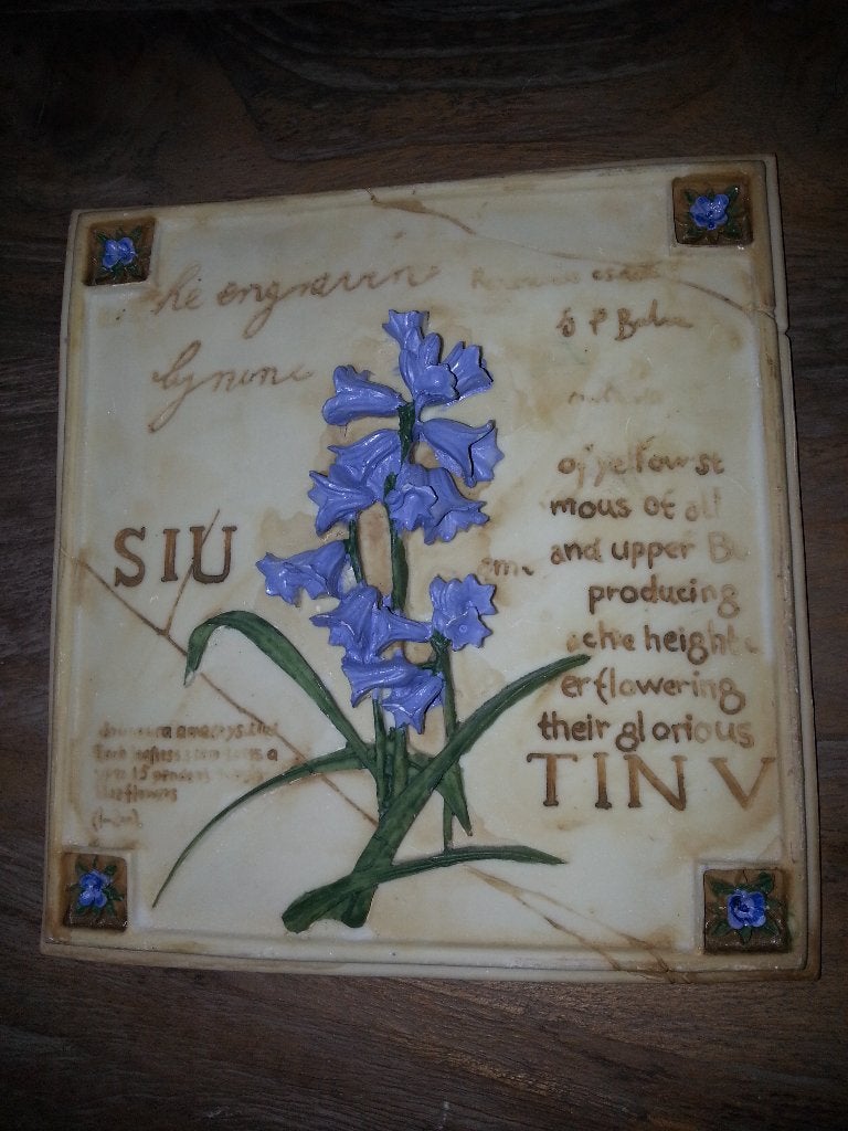 decoratief tegeltje, Ophalen of Verzenden, Zo goed als nieuw