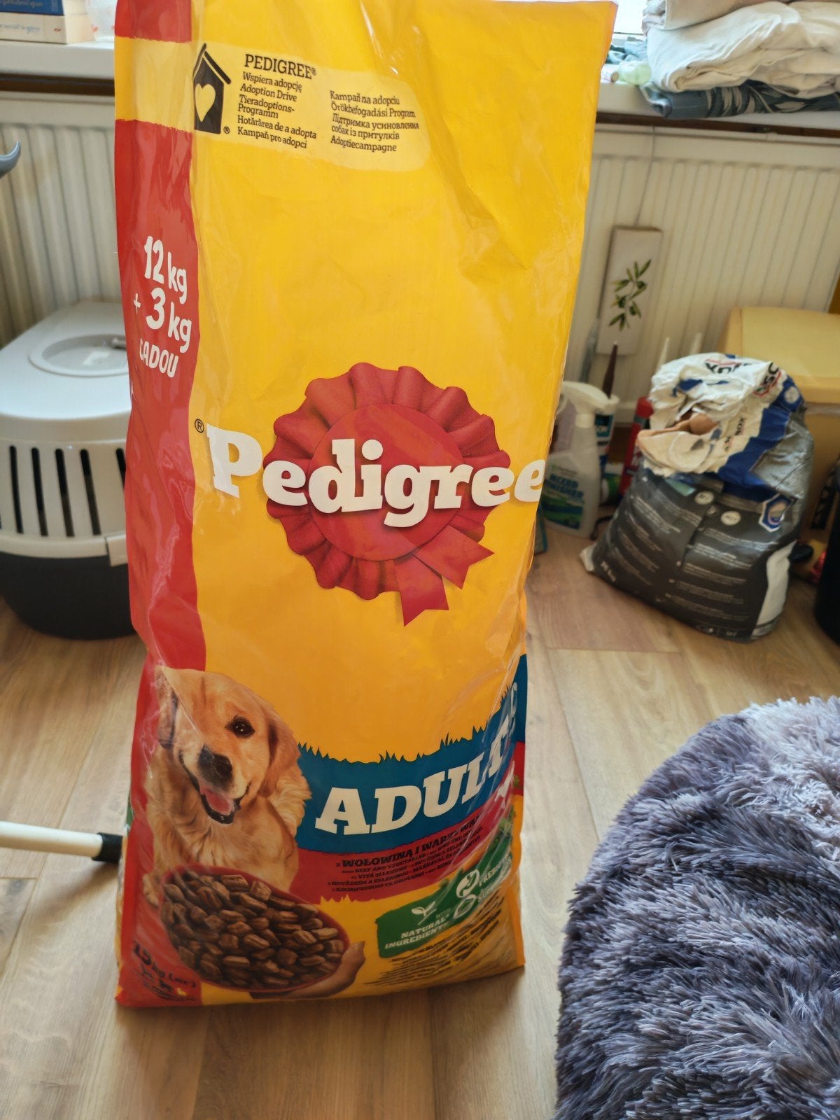 Gratis meenemen, Dieren en Toebehoren, Ophalen, Hond