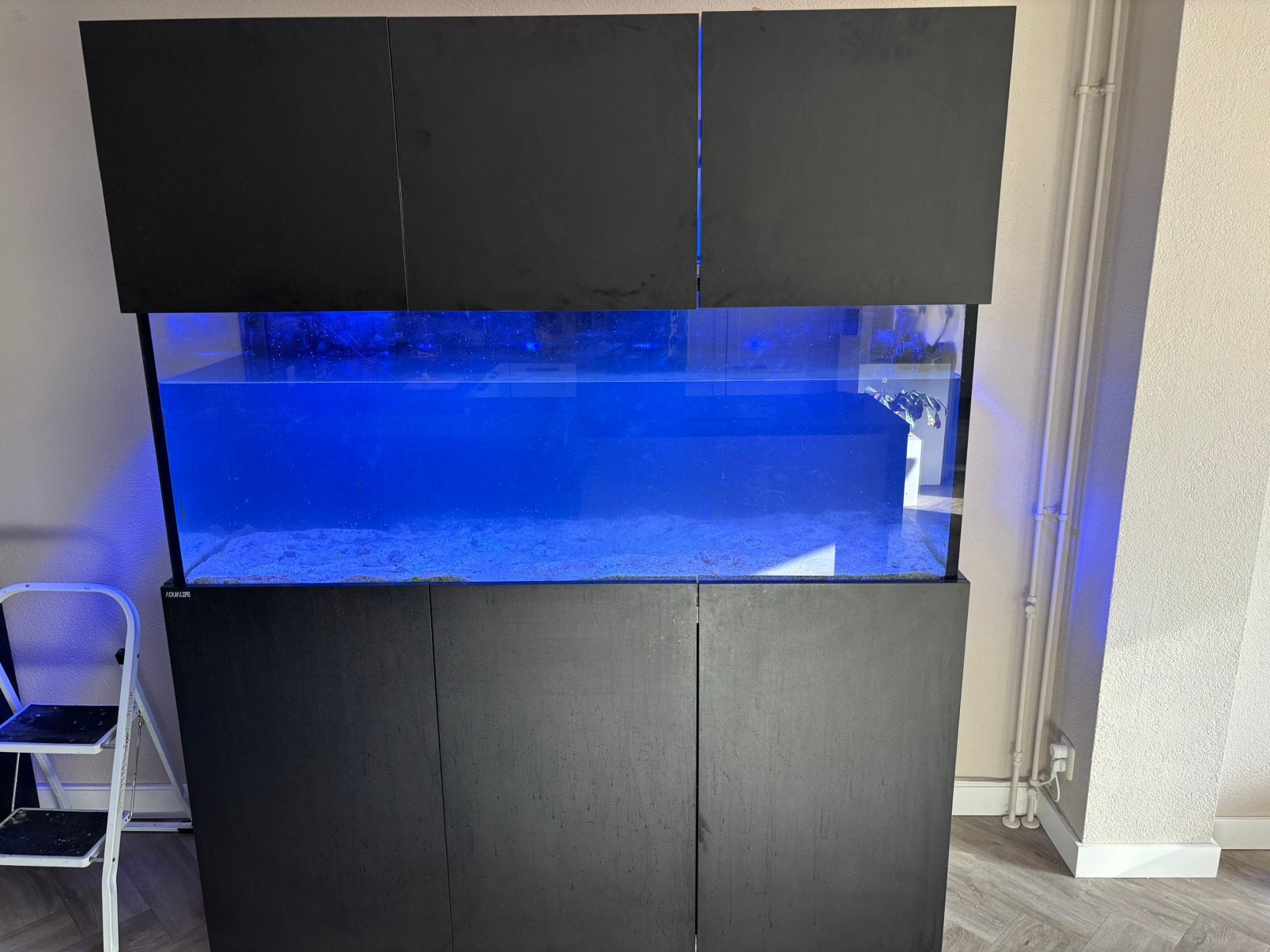 Zeeaquarium Aqualife, Ophalen, Zo goed als nieuw, Gevuld zeewateraquarium