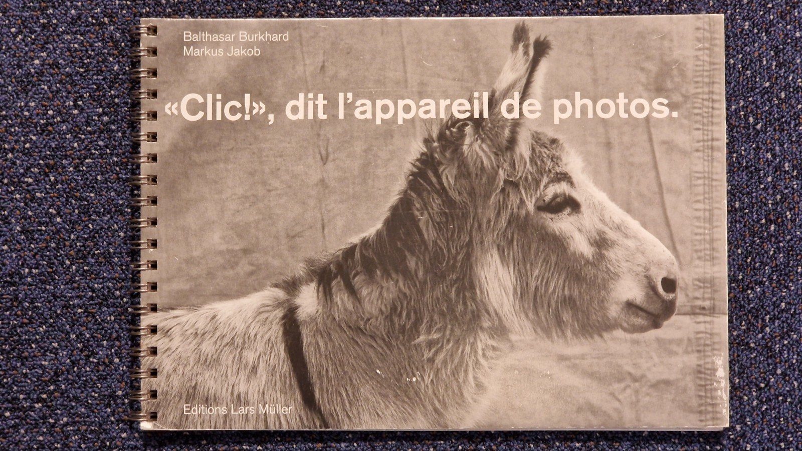 Clic!", dit l'appareil de photos - Balthasar Burkhard, Ophalen of Verzenden, Zo goed als nieuw, Overige onderwerpen