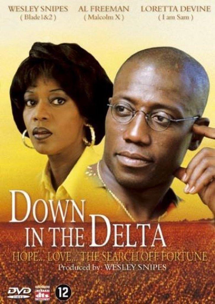 Down In The Delta DVD, Vanaf 12 jaar, Verzenden, Zo goed als nieuw