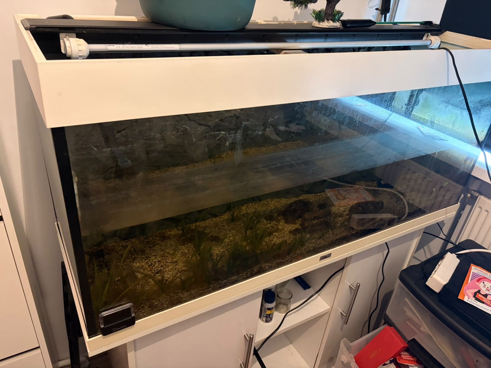 Aquarium met kast, inclusief verlichting, Ophalen, Gebruikt, Leeg aquarium, Juwel