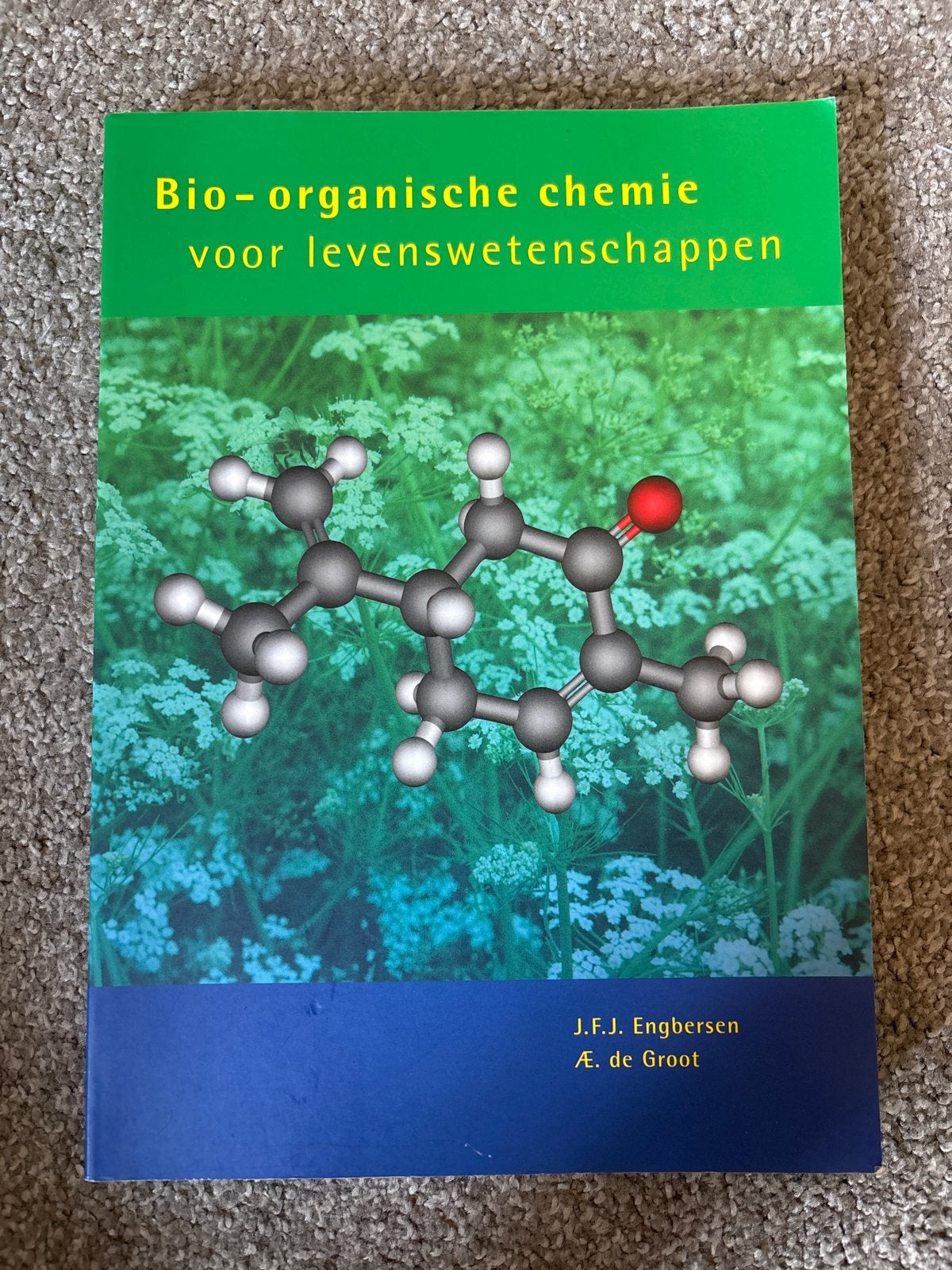 Bio-organische chemie voor levenswetenschappen, Ophalen of Verzenden, Zo goed als nieuw, Natuurwetenschap
