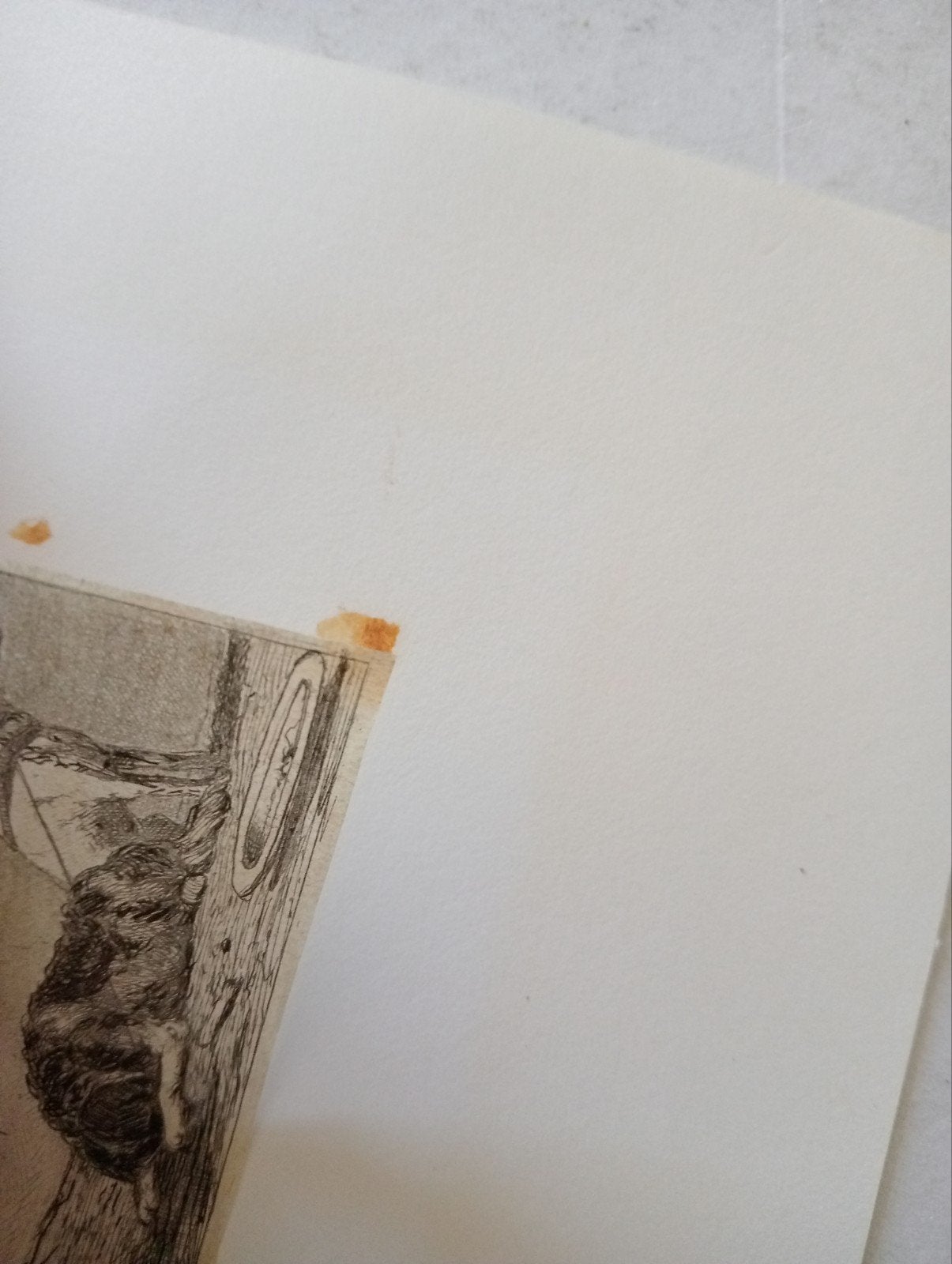 2 honden zeer oude Ets stijl Goya, Antiek en Kunst, Kunst | Etsen en Gravures, Ophalen of Verzenden
