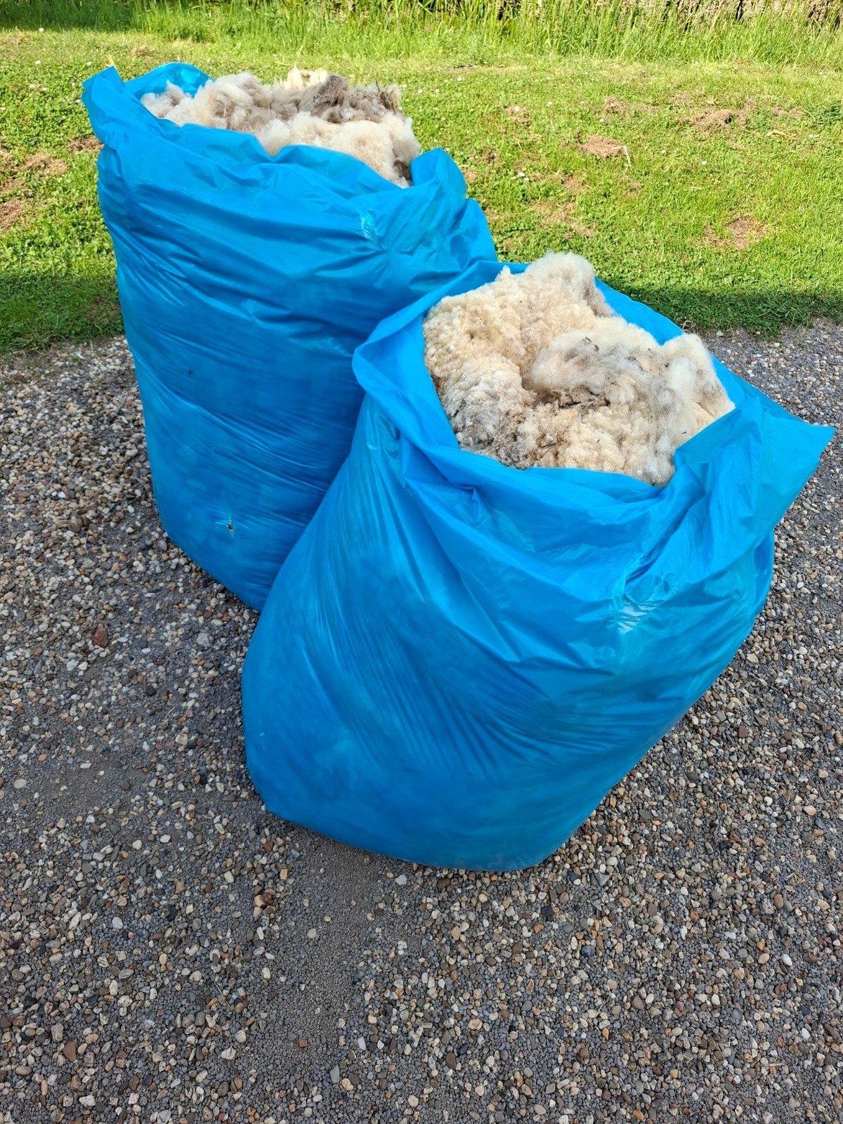 2 grote zakken schapen wol ongewassen, Hobby en Vrije tijd, Spinnewielen en Spinnen, Ophalen