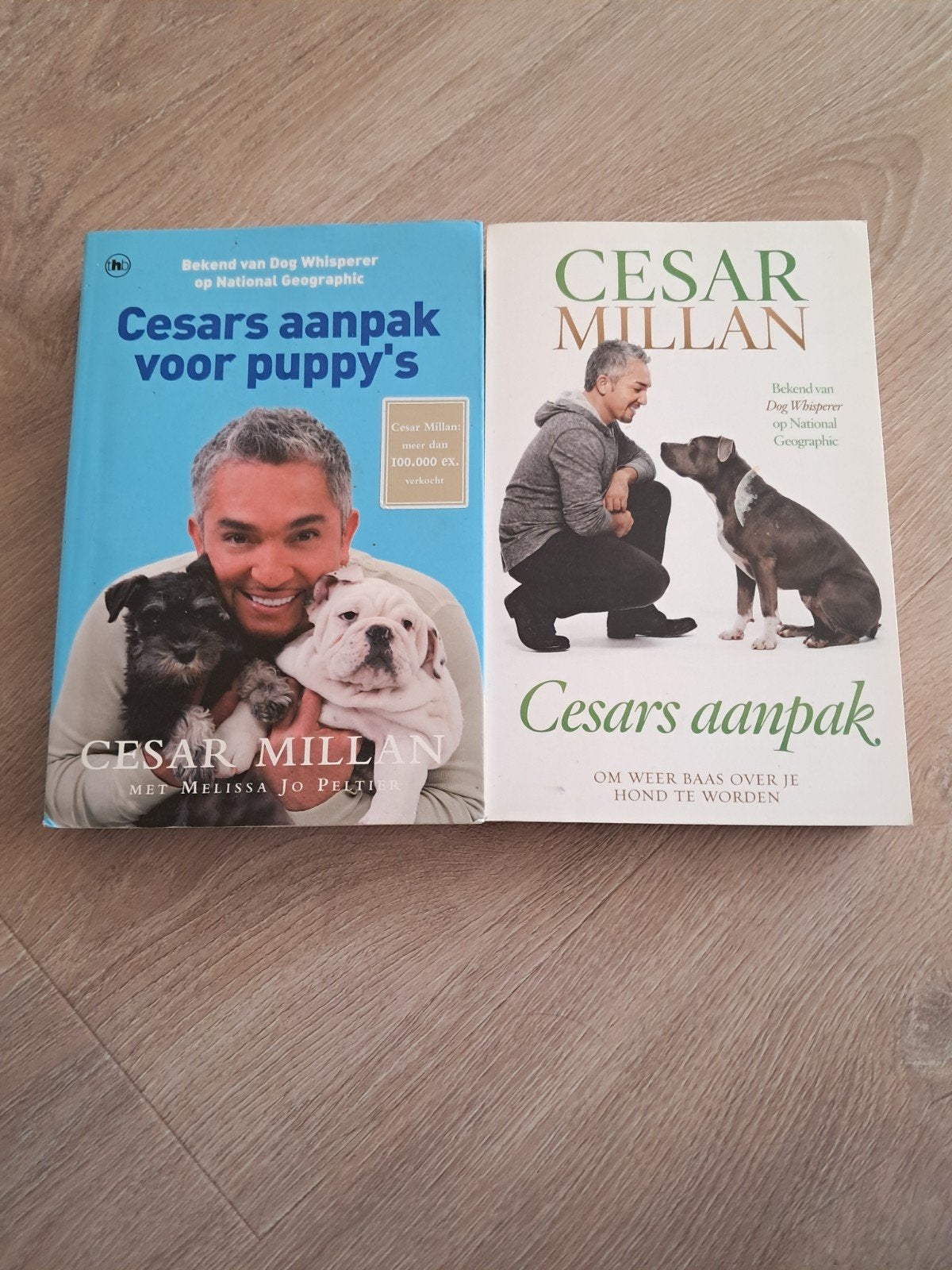 Cesar Millan: Cesars aanpak voor puppy's & Cesars aanpak, Ophalen of Verzenden, Zo goed als nieuw, Honden, Cesar Millan