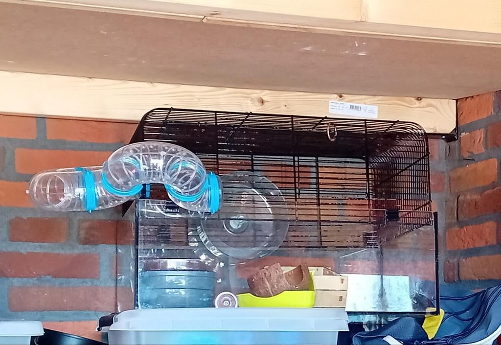 Hamsterkooi met zak extra's, Minder dan 60 cm, Kooi, Minder dan 75 cm, Ophalen of Verzenden