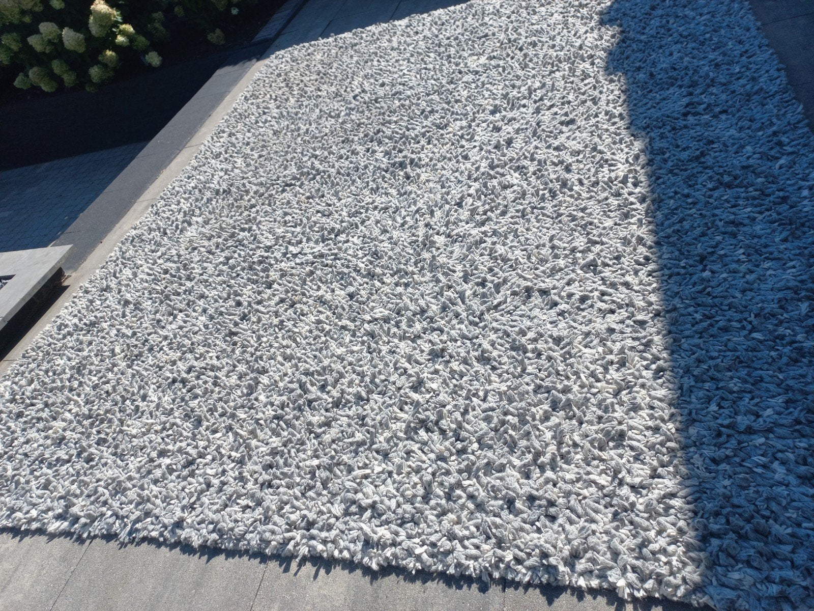 te koop wollen vloerkleed, Ophalen, 200 cm of meer, 200 cm of meer, Grijs