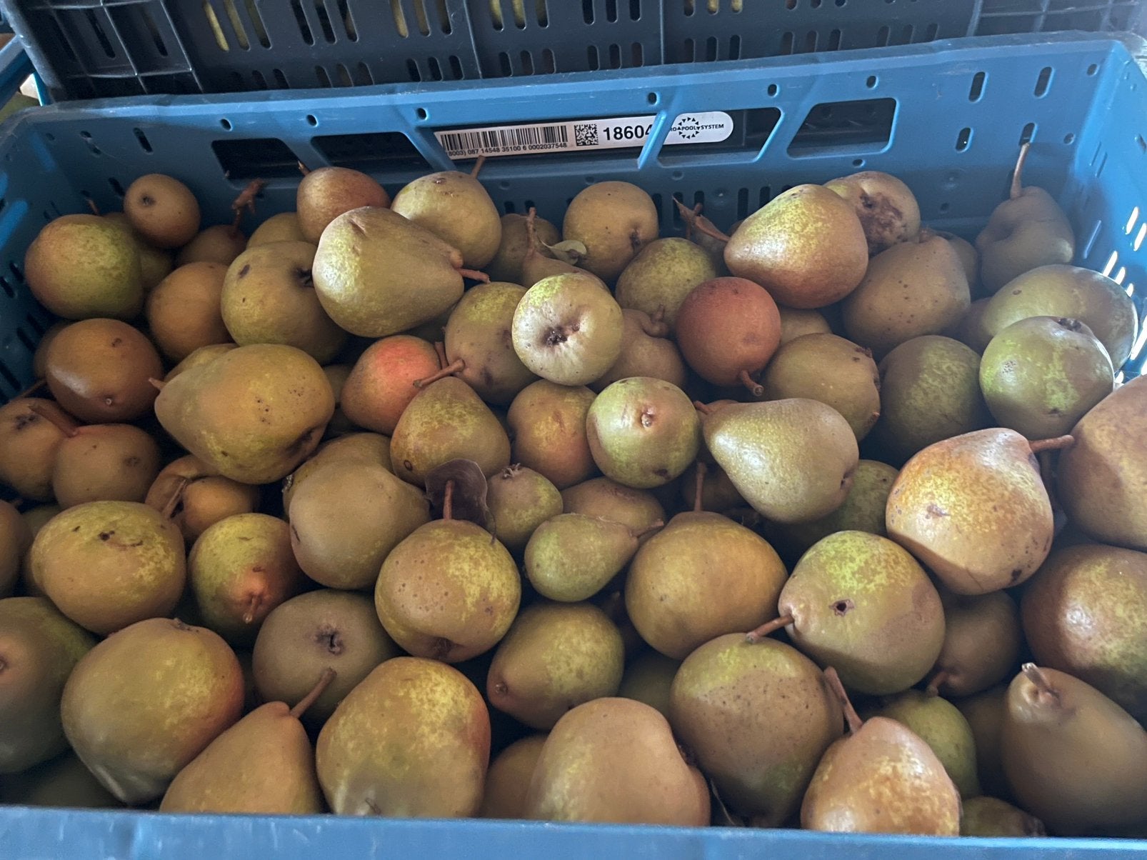 Stoofperen Gieser Wildeman p kg €1, Diversen, Levensmiddelen, Ophalen of Verzenden