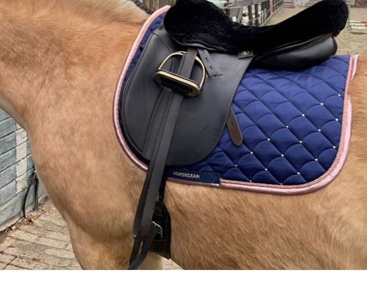 Hirsegear dekje maat Full, Full (L), Horsegear, Gebruikt, Dressuurdekje