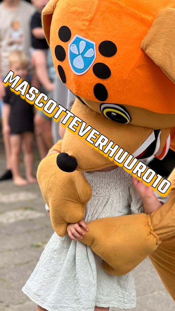 Paw Patrol Zuma mascotte te huur, Ophalen, Zo goed als nieuw, Verjaardag