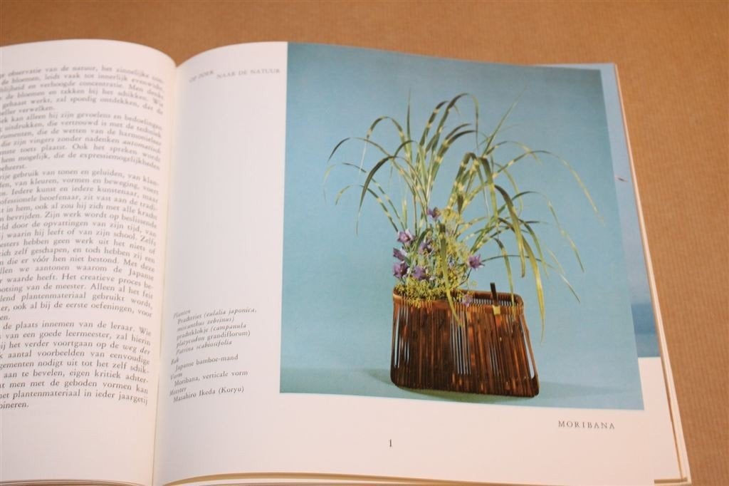 Ikebana in de Praktijk — Japanse Bloemschikkunst Handboek, Ophalen of Verzenden, Gelezen, Tekenen en Schilderen