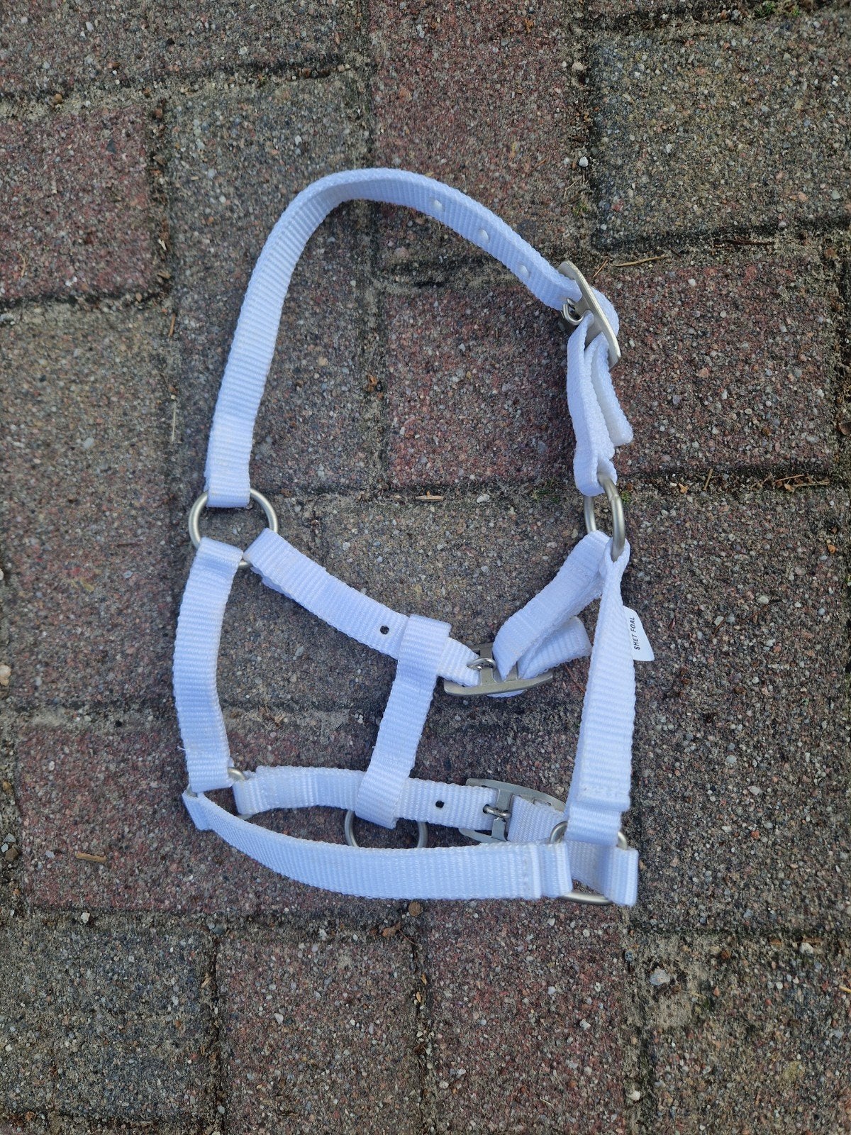 te koop 20x shetlander veulen halsters, Ophalen of Verzenden, ., ., .