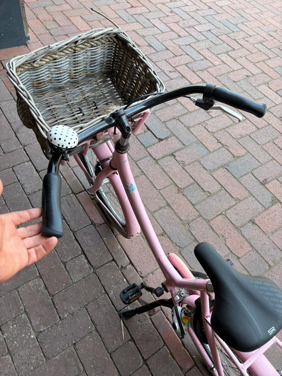 Kinderfiets voor kinderen in de leeftijd van 8 tot 11 jaar., Ophalen, Gebruikt, Terugtraprem, 22 inch