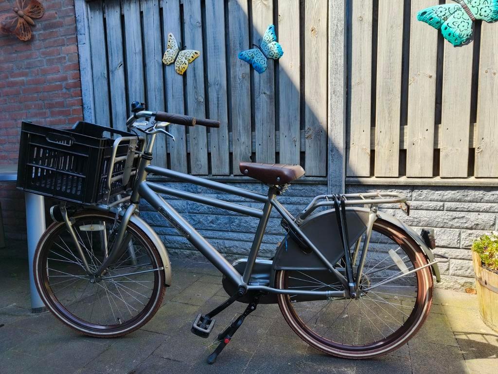 Leuke transportfiets voor jongens, Fietsen en Brommers, Fietsen | Jongens, Ophalen, Terugtraprem, Popal transport fiets, Handrem