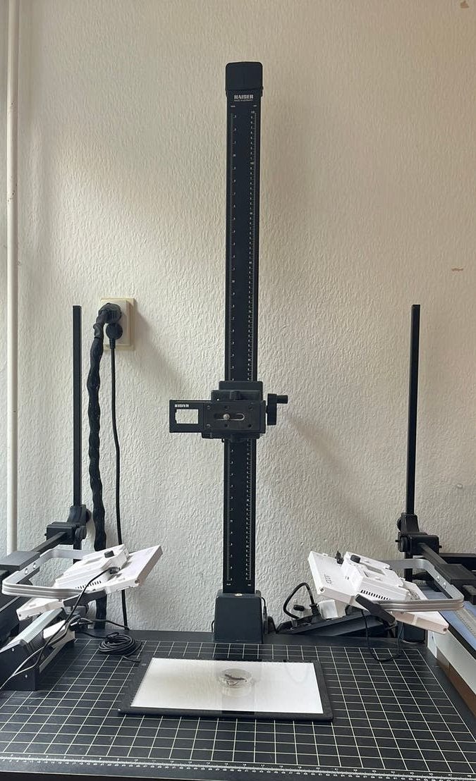 Kaiser reprostandaard met RA 1 arm