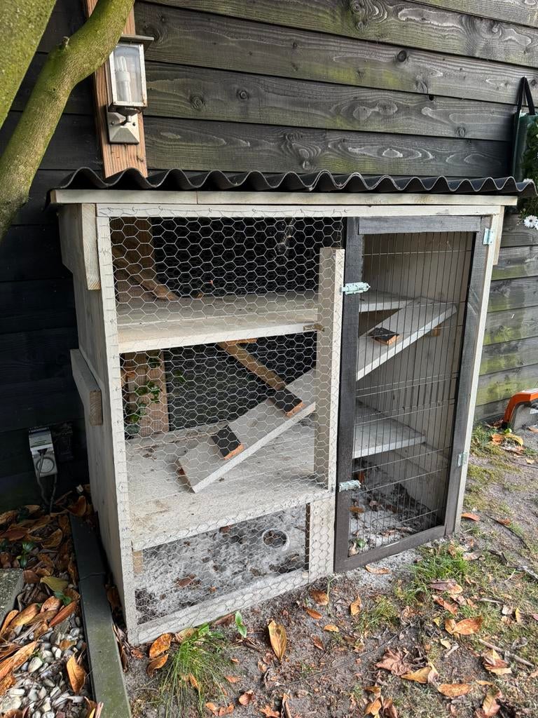 Konijnenhok, Dieren en Toebehoren, Konijnen, Mannelijk