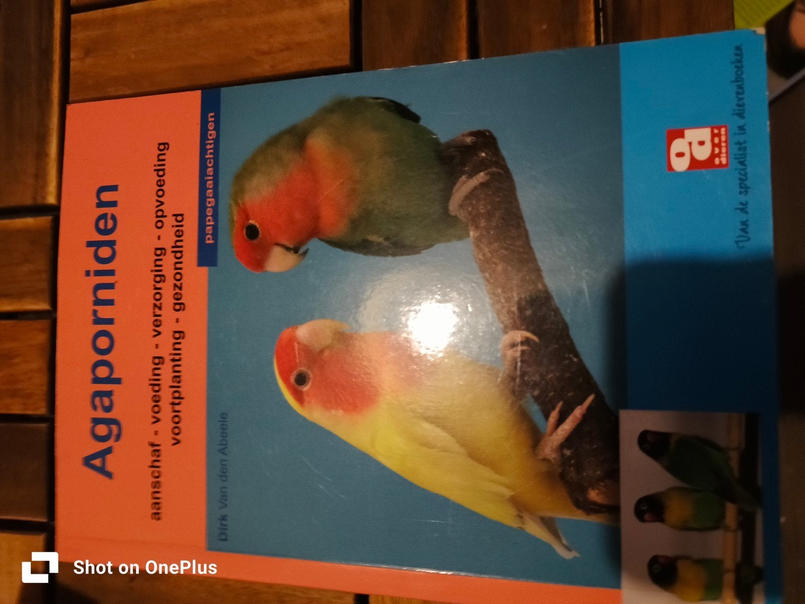 Agaporniden: Aanschaf, verzorging, opvoeding, voortplanting, Boeken, Ophalen of Verzenden, Gelezen, Vogels, Dirk Van den Abeele
