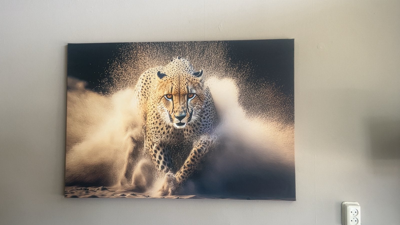 Canvas cheeta, Ophalen