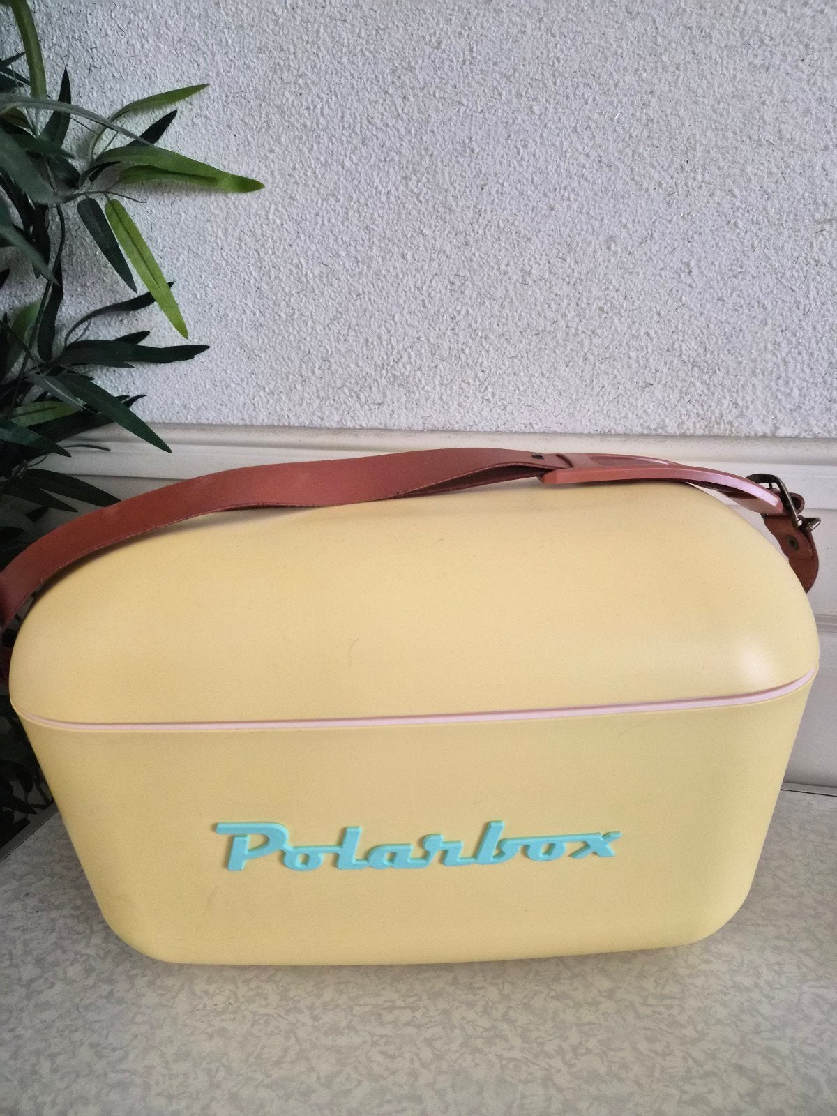 Nieuwe Polabox koelbox 12 liter - Geel/Roze, Ophalen of Verzenden, Nieuw