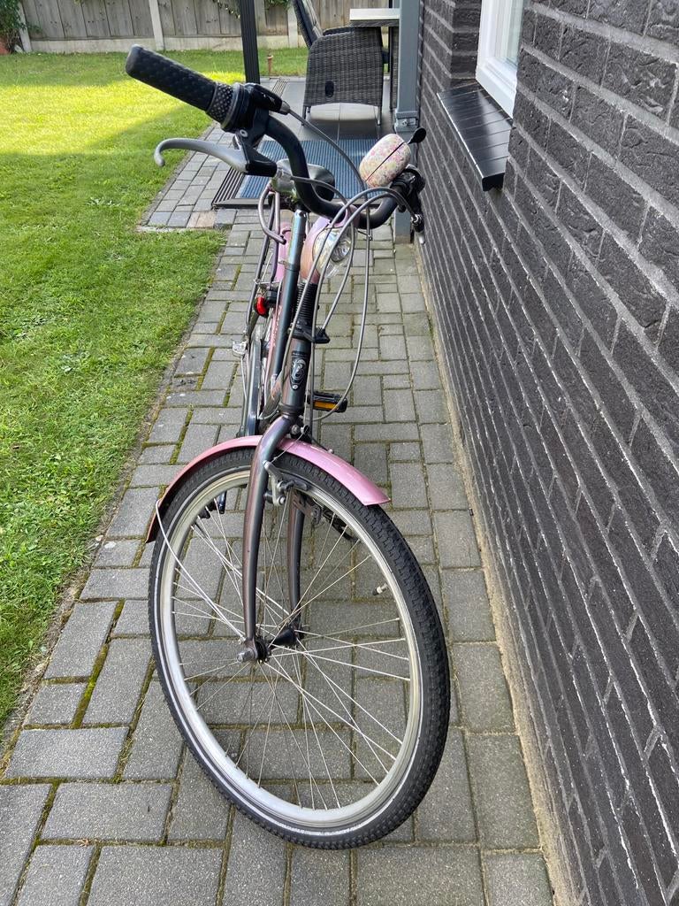 Meisjes kinderfiets Kameleon 24 inch - Roze/Grijs, Ophalen, Gebruikt, 24 inch, Handrem
