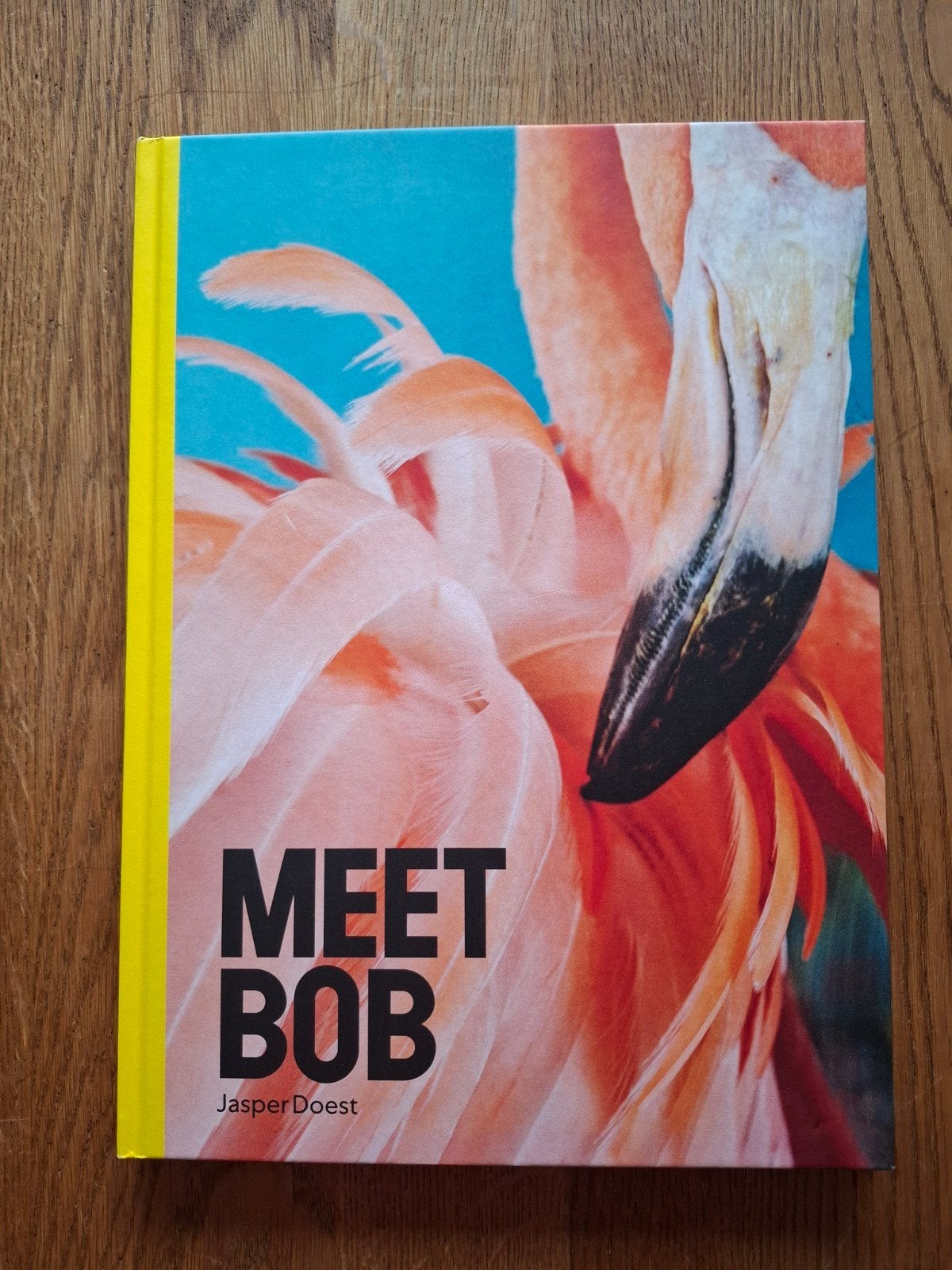 Meet Bob - Jasper Doest (Fotoboek Flamingo's), Ophalen of Verzenden, Zo goed als nieuw, Fotografen, Jasper Doest