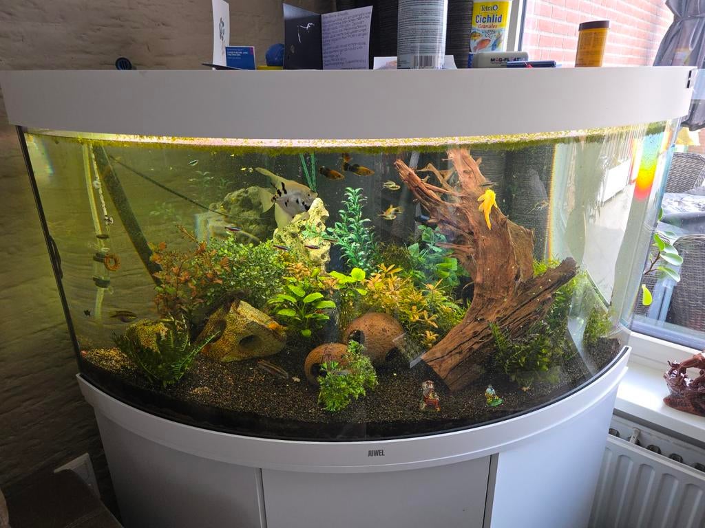 Mooi aquarium 350 liter., Dieren en Toebehoren, Vissen | Aquaria en Toebehoren, Ophalen, Zo goed als nieuw