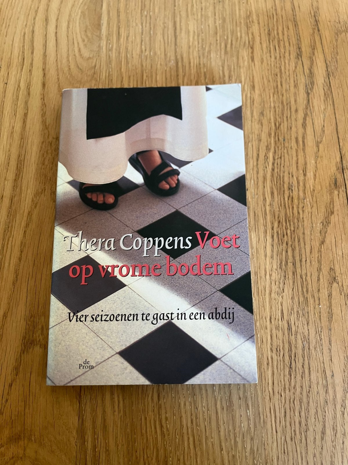 Voet op vrome bodem - Thera Coppens (Zo goed als nieuw), Boeken, Ophalen of Verzenden, Zo goed als nieuw, Spiritualiteit algemeen