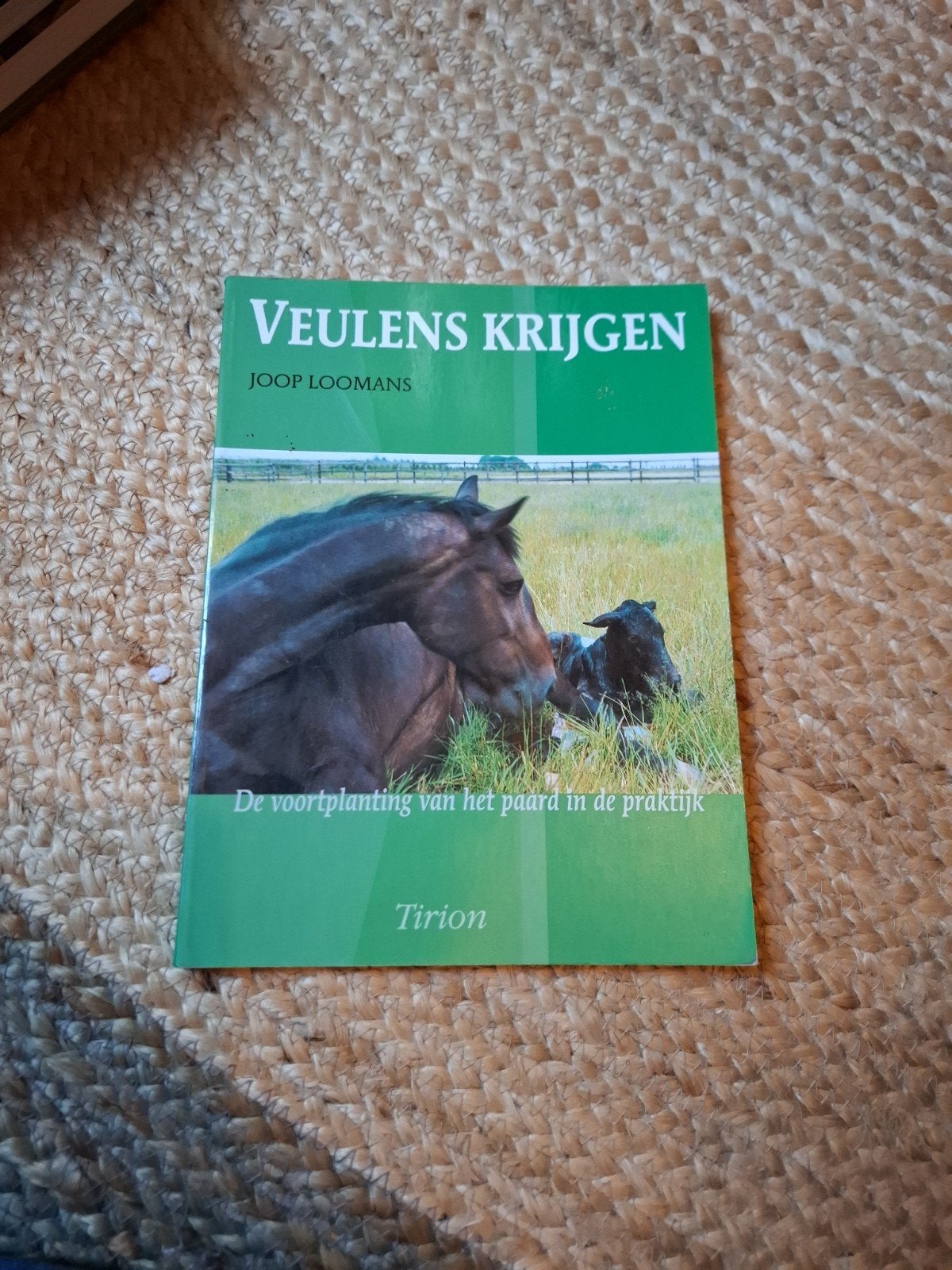 Veulens Krijgen - Joop Loomans (Paardenboek), Ophalen of Verzenden, Gelezen, Paarden of Pony's, Joop Loomans