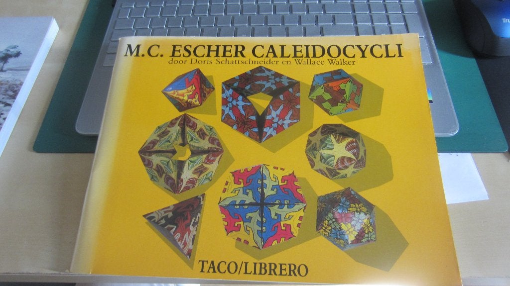 M.C.ESCHER CALEIDOCYCLI, Ophalen of Verzenden, Gebruikt, Boek of Gids