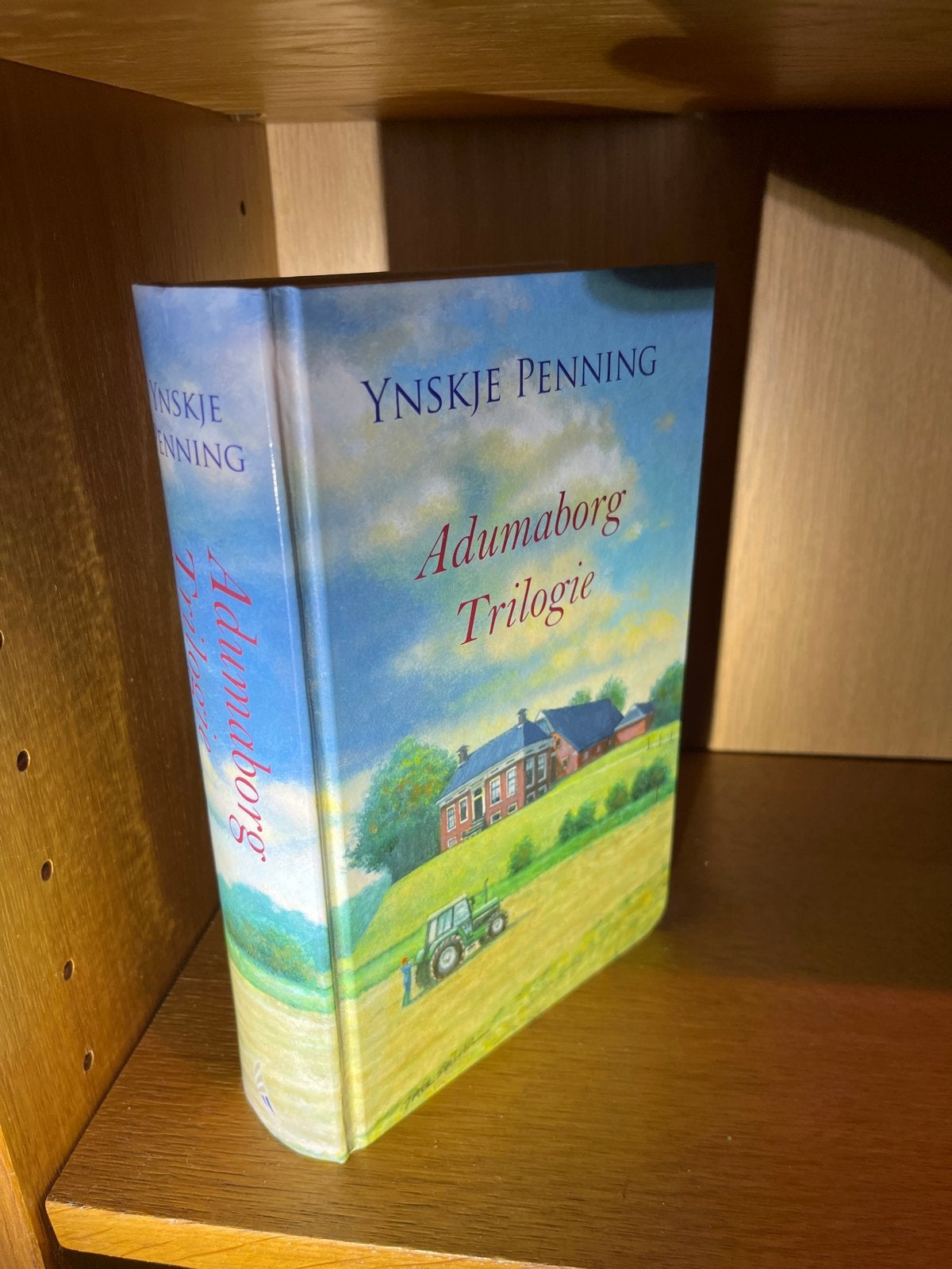 Adumaborg Trilogie - Ynskje Penning, Boeken, Romans, Zo goed als nieuw, Nederland, Ophalen