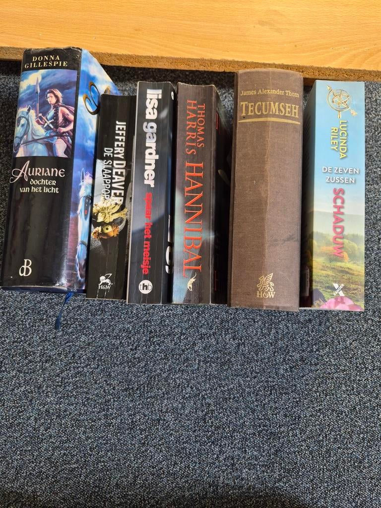 Boekenpakket: Fantasy, Thriller, Historisch & Roman, Ophalen of Verzenden, Gelezen, Diverse auteurs, Nederland