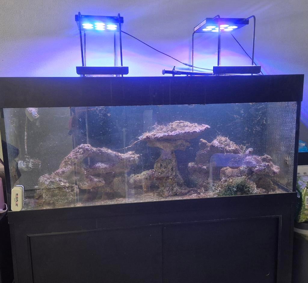 Zeeaquarium, Dieren en Toebehoren
