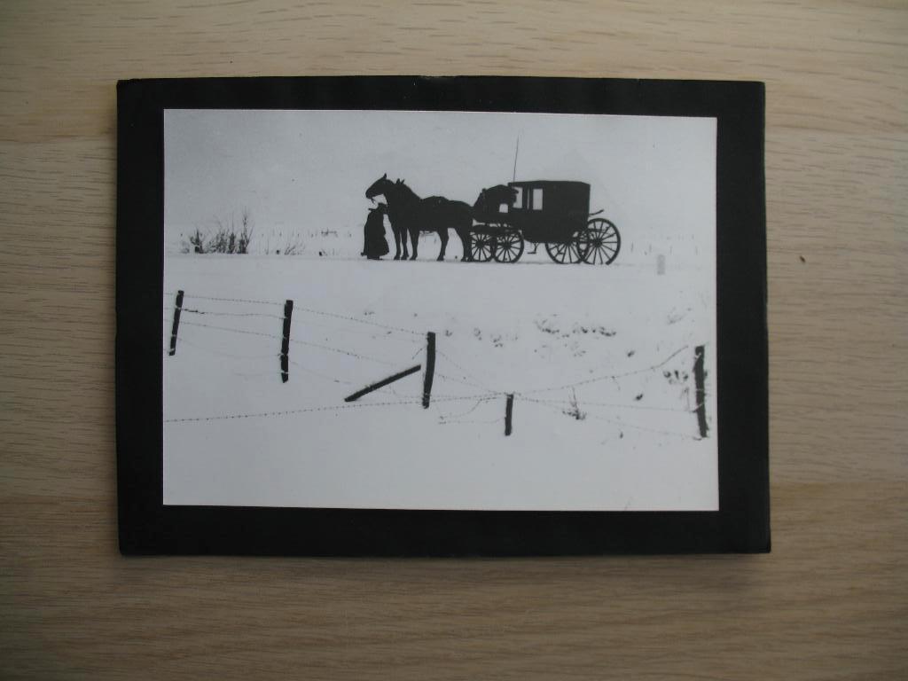 Prent Silhouet Zwart/wit* Vintage, Ophalen of Verzenden, Zo goed als nieuw, Voor 1940, Prent