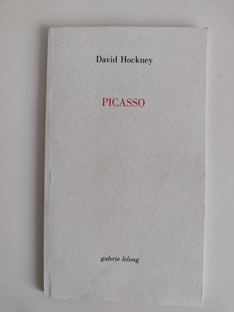 Picasso - David Hockney, Boeken, Kunst en Cultuur | Beeldend, Gelezen, Ophalen of Verzenden, David Hockney, Schilder- en Tekenkunst