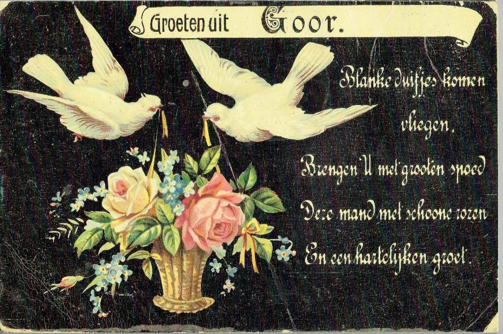 Groeten uit Goor, Boeken, Geschiedenis | Stad en Regio, Ophalen of Verzenden, Gelezen
