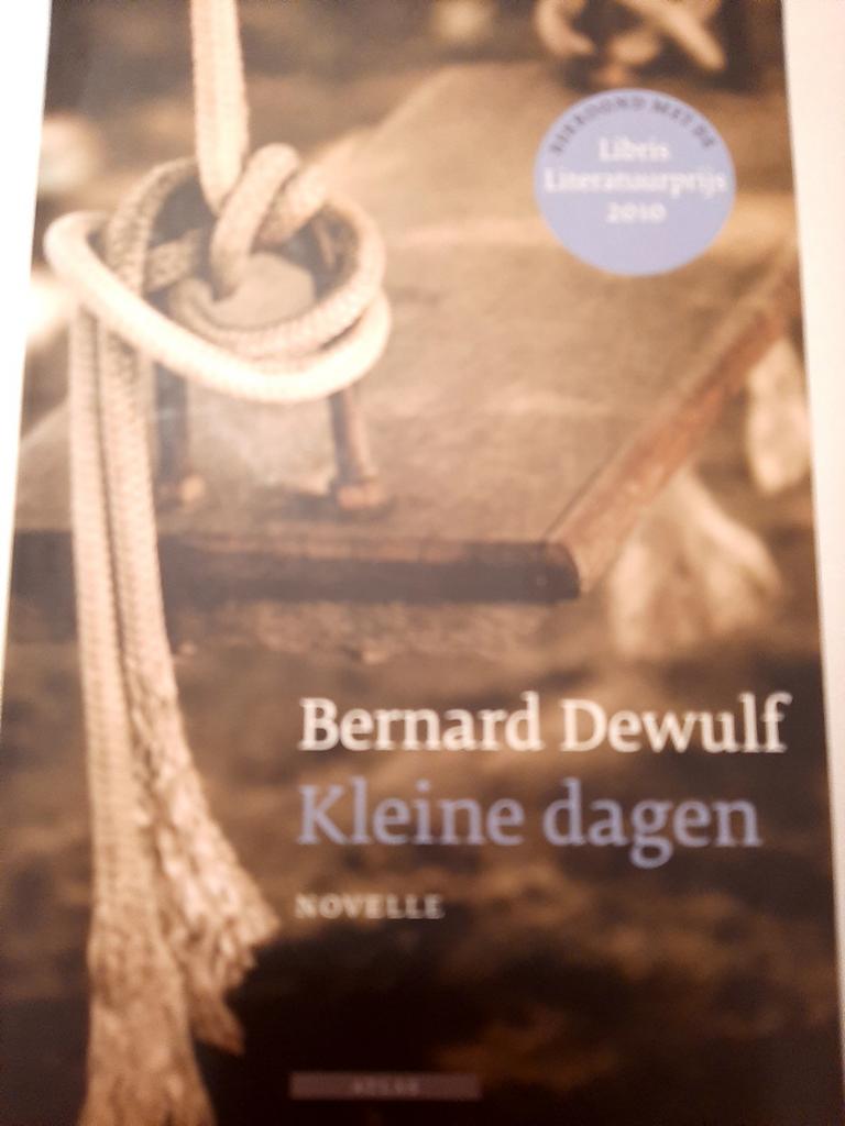 Bernard Dewulf - Kleine dagen, Ophalen of Verzenden, Zo goed als nieuw, Bernard Dewulf