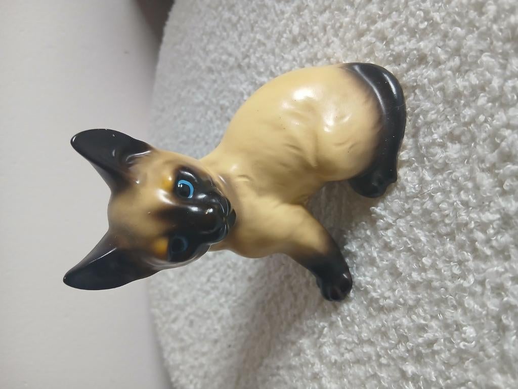 Siamese kat, Ophalen of Verzenden